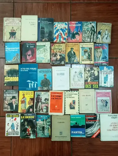 Lote de libros variados en diferentes idiomas - miniatura 4
