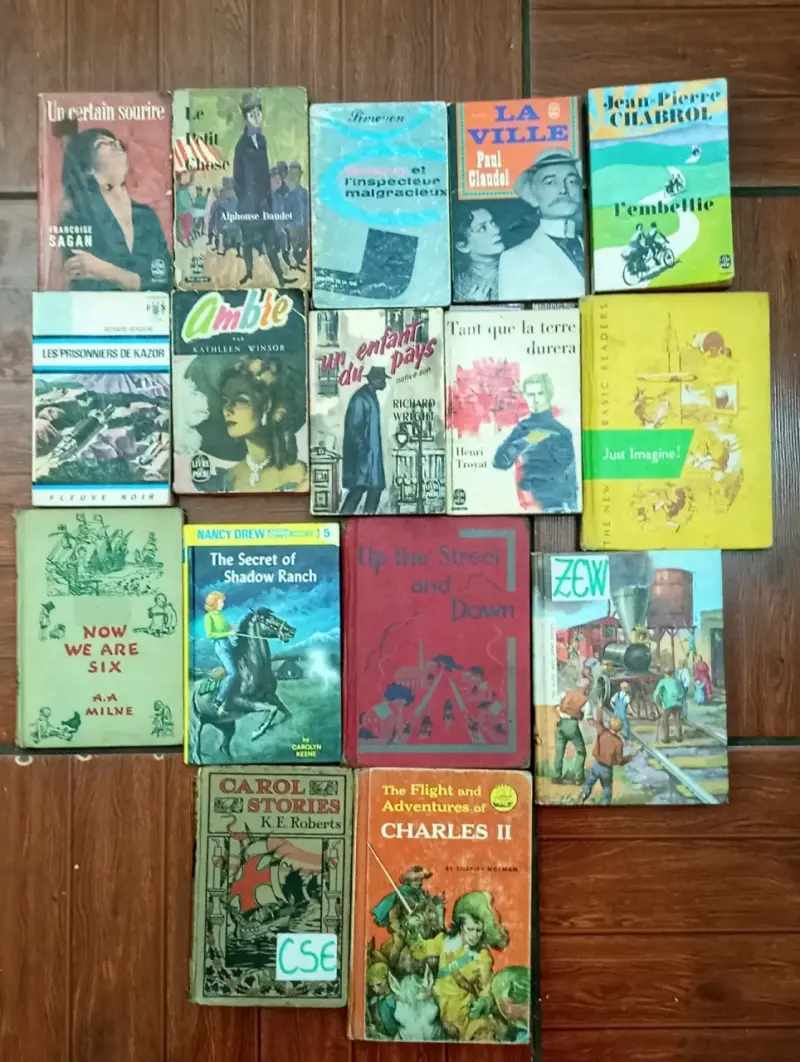 Lote de libros variados en diferentes idiomas - 5