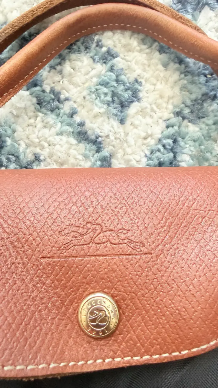 bolso Le Pliage Longchamp - 4