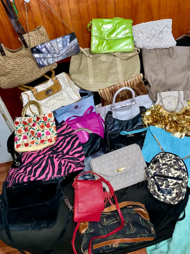 Lote de carteras y bolsos variados