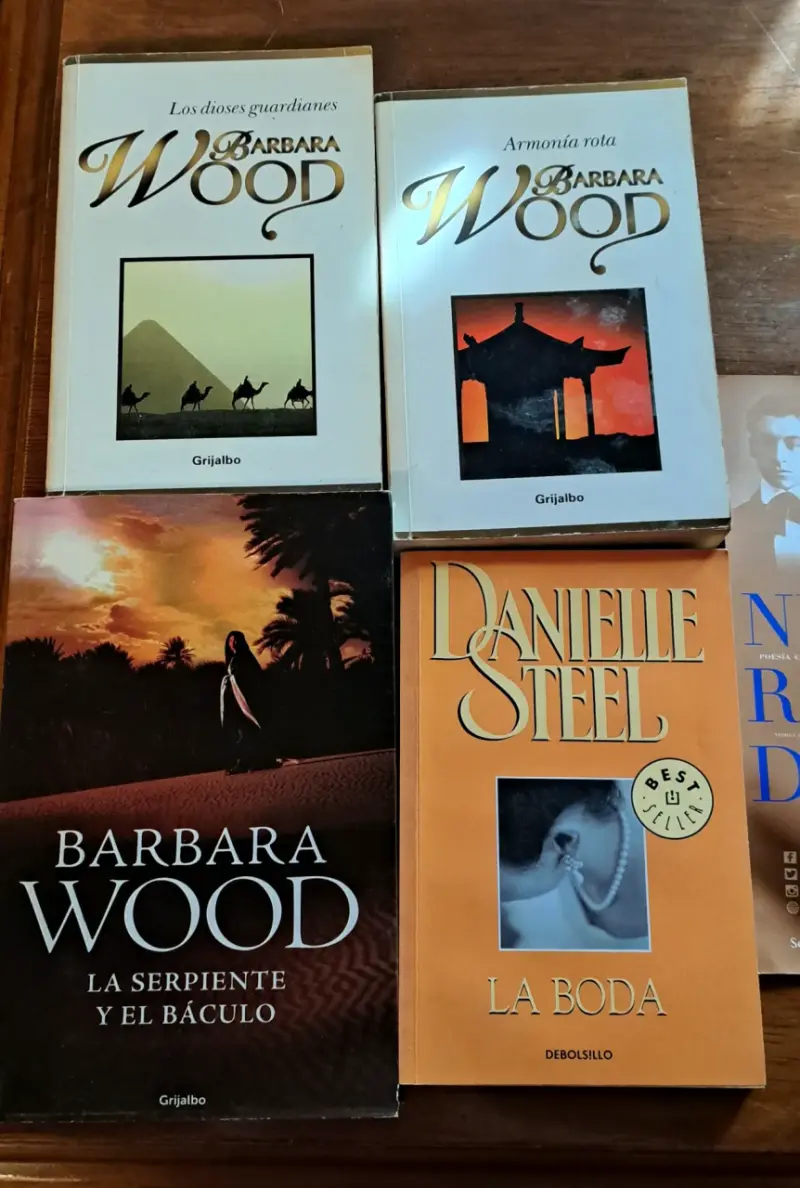Lote de libros de Barbara Wood y Danielle Steel