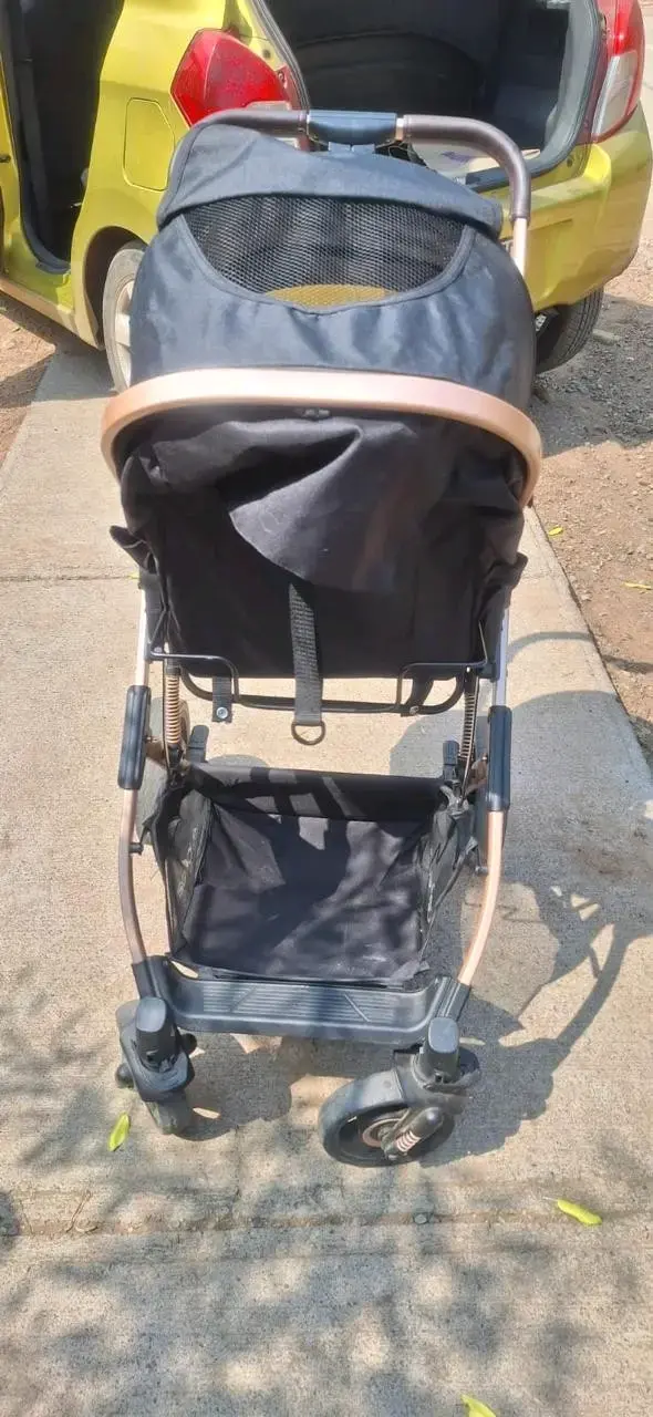 Coche de bebé con silla de auto, marca Bebesit - 6