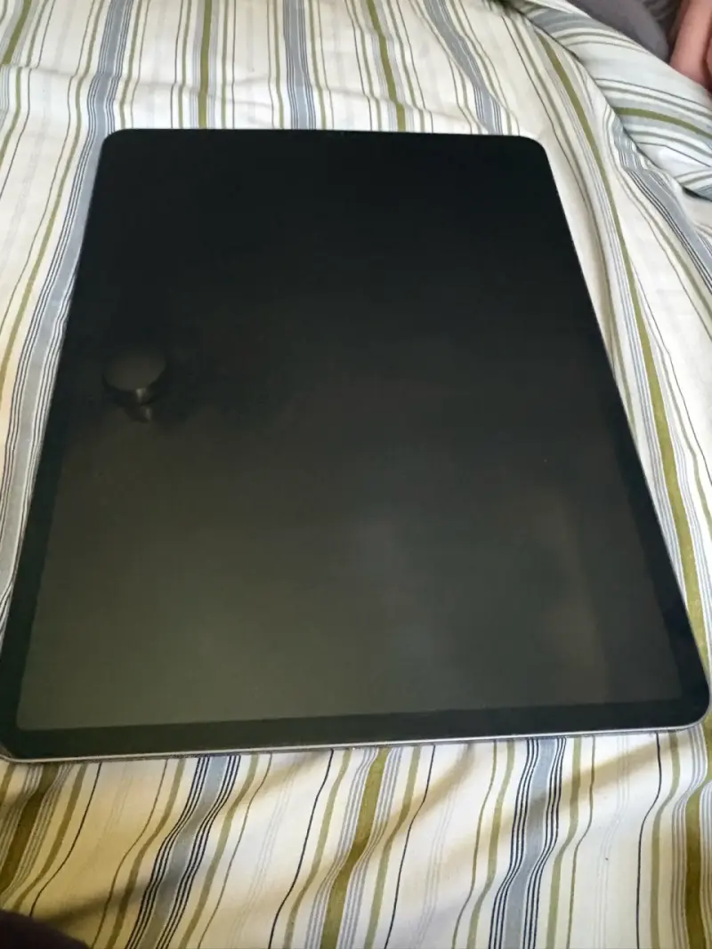 iPad Pro 12.9 pulgadas gris espacial - 2