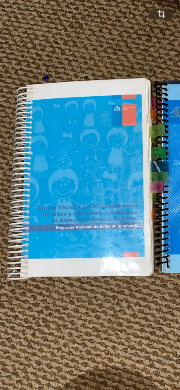 Libro Enfermeria Aps