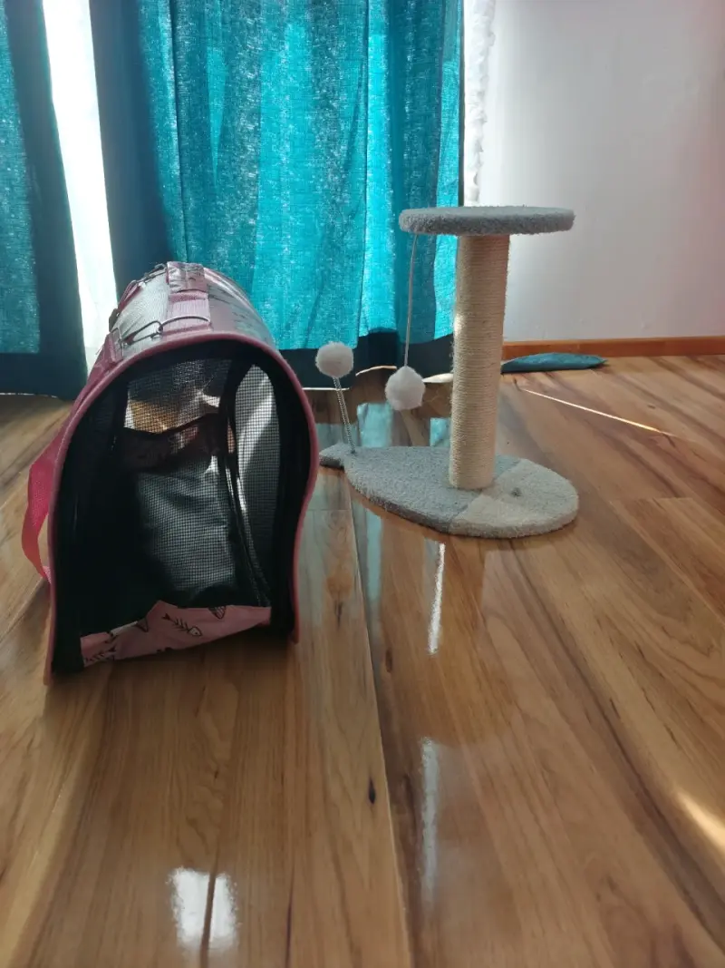Transportadora de mascotas rosa con diseño de gatos - 2