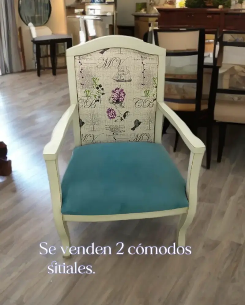 Dos Sitial vintage con diseño floral