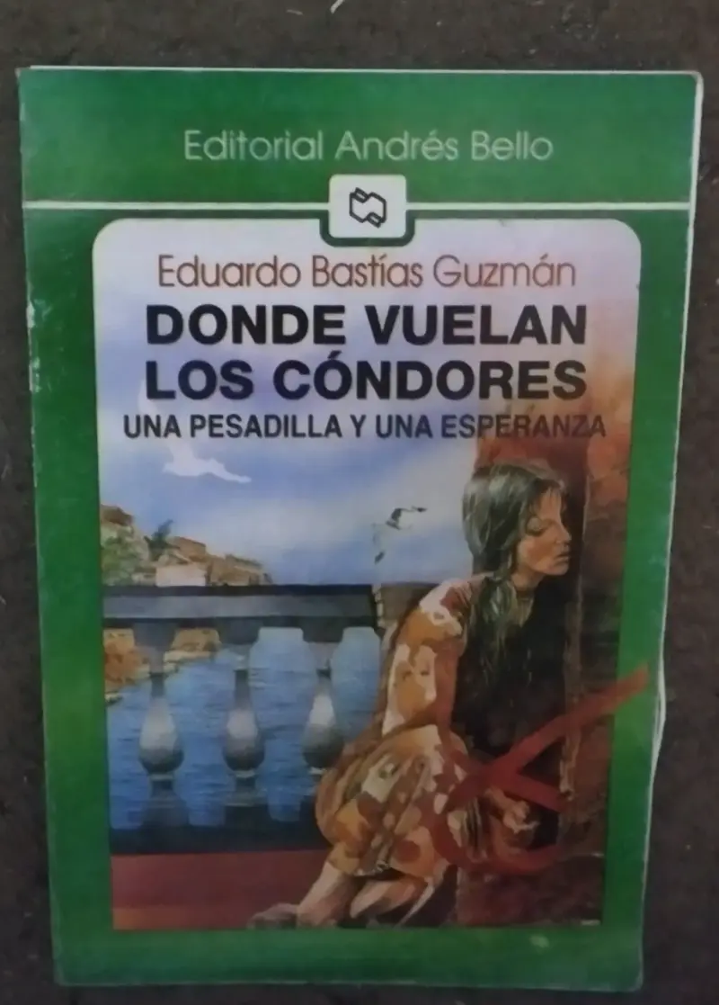Libro 'Donde Vuelan los Cóndores' de Eduardo Bastías