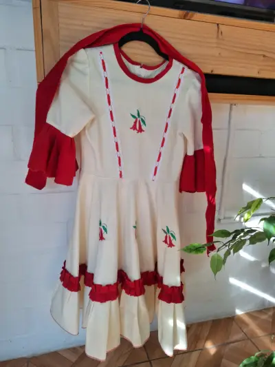 Vestido folclórico chileno con bordados talla 14 - miniatura 3