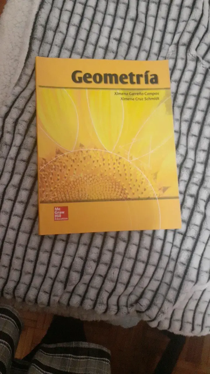 Libro de geometría McGraw Hill - 1