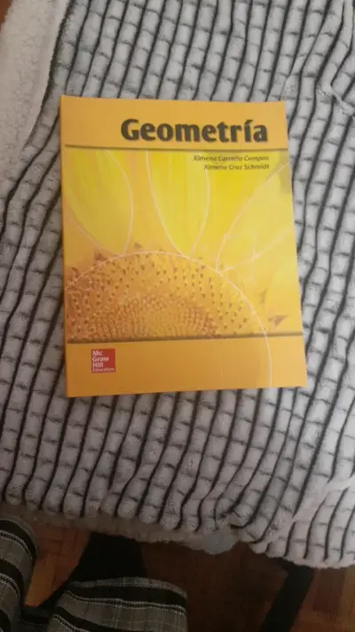 Libro de geometría McGraw Hill - miniatura 1