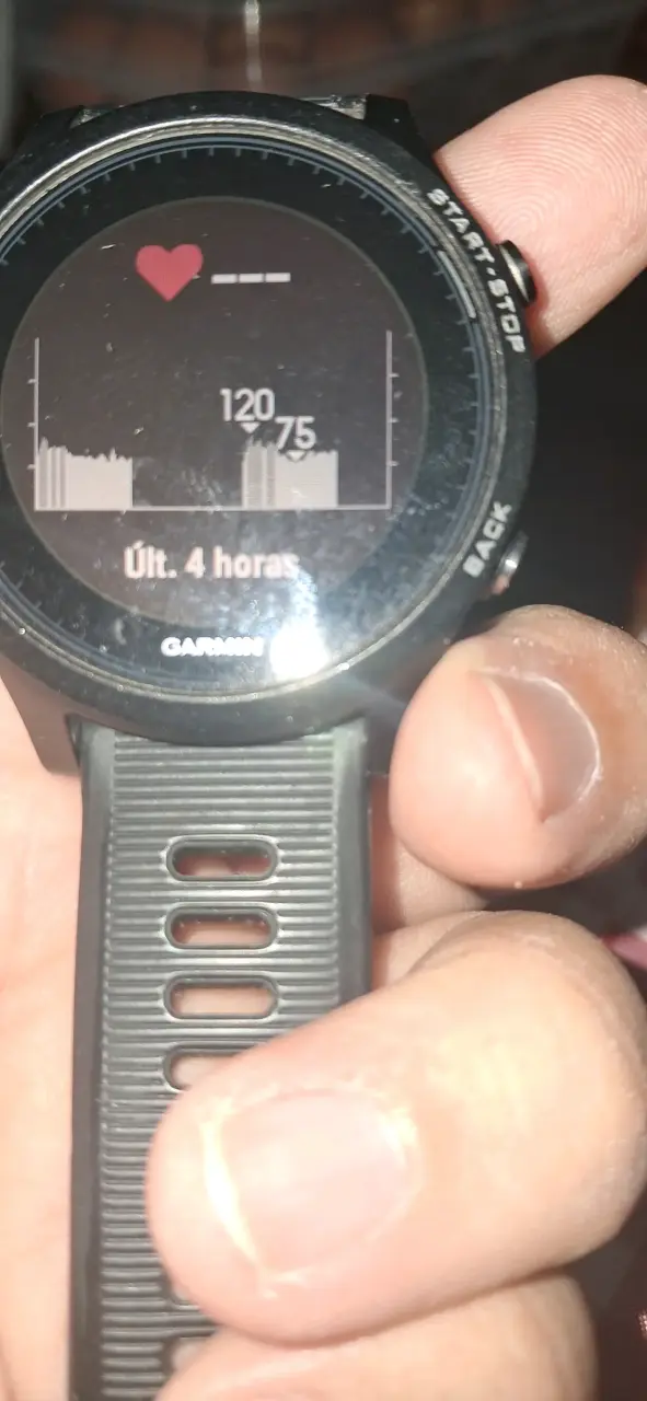 Reloj deportivo Garmin Forerunner 235 - 2