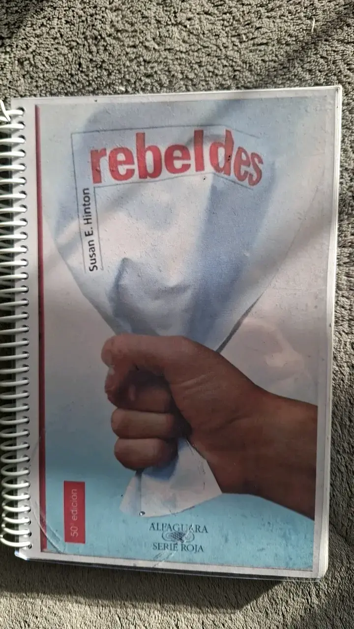 Libro Rebeldes de Susan E. Hinton