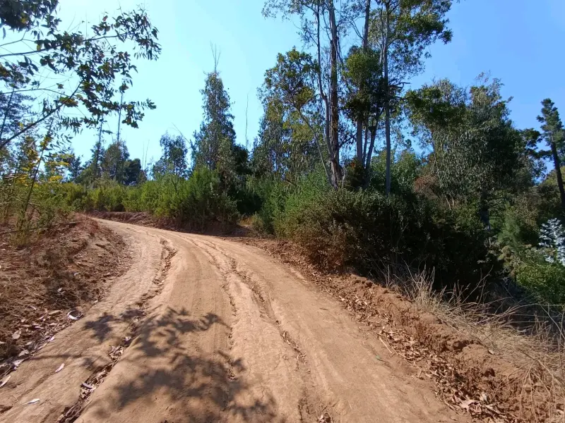 Terreno en Pichilemu 5.000 M2 - 2