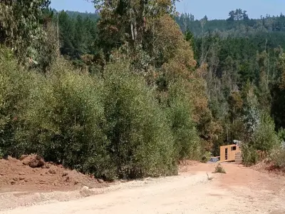 Terreno en Pichilemu 5.000 M2 - miniatura 3