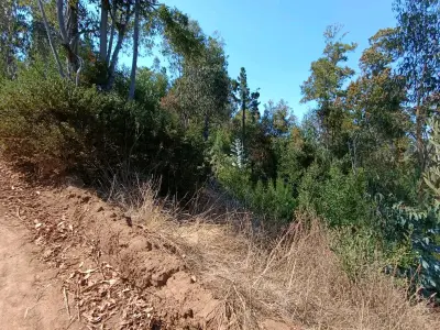 Terreno en Pichilemu 5.000 M2 - miniatura 4