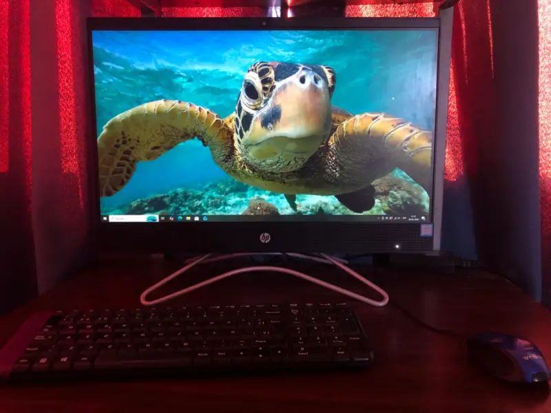 Monitor HP con teclado y mouse incluidos - 1