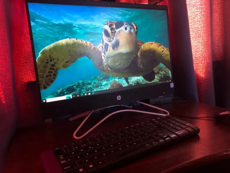 Monitor HP con teclado y mouse incluidos - 2