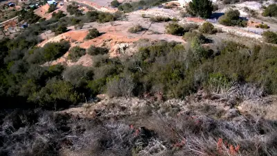 Terreno de 5000 mt² con casa de 96mt² - miniatura 1