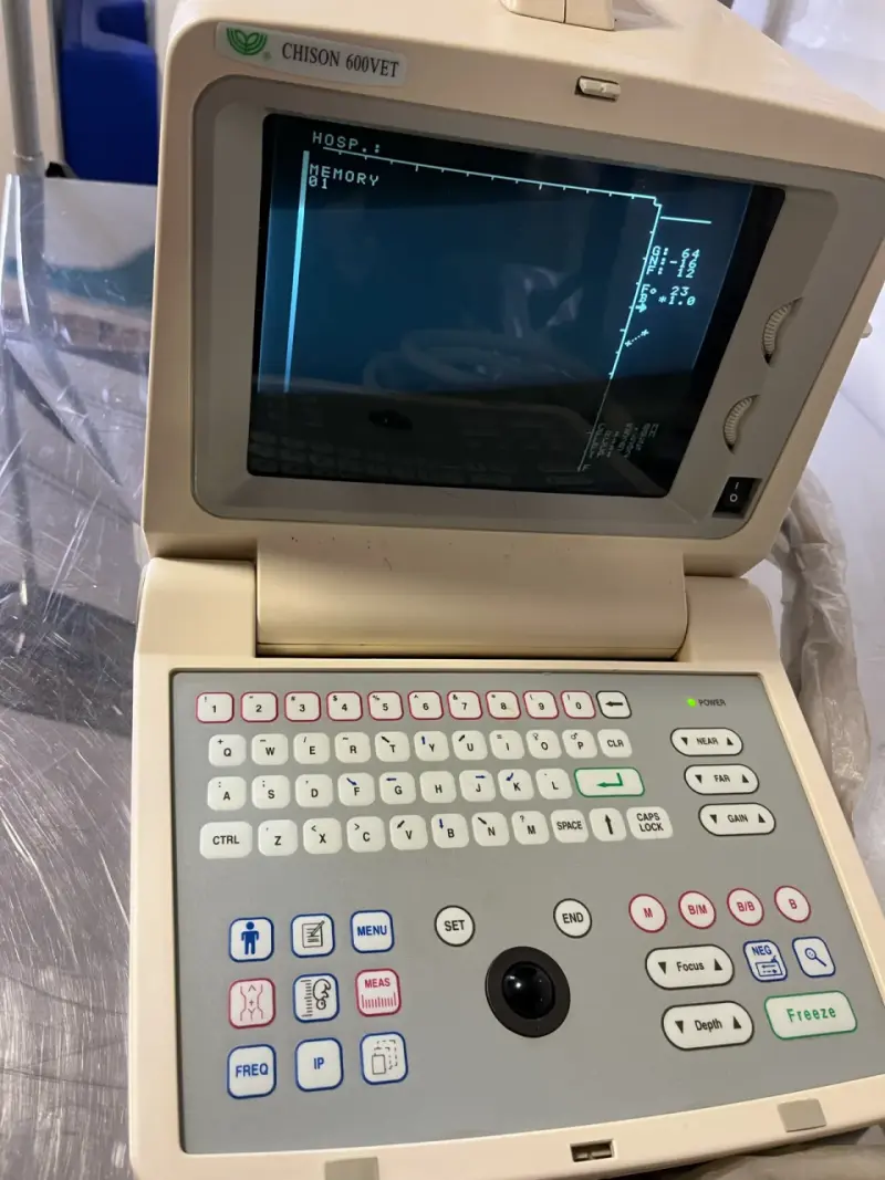 Ecógrafo portátil Chison 600VET - 1