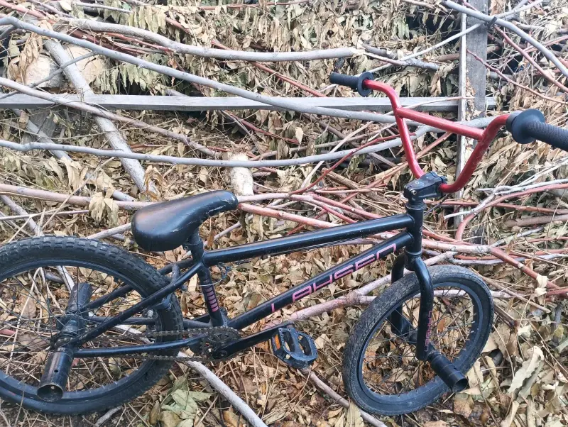 Bicicleta BMX negra con manubrio rojo - 1