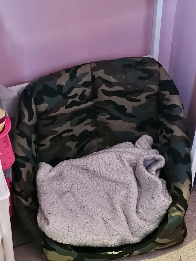 Cama para mascotas camuflaje con cojin - 1