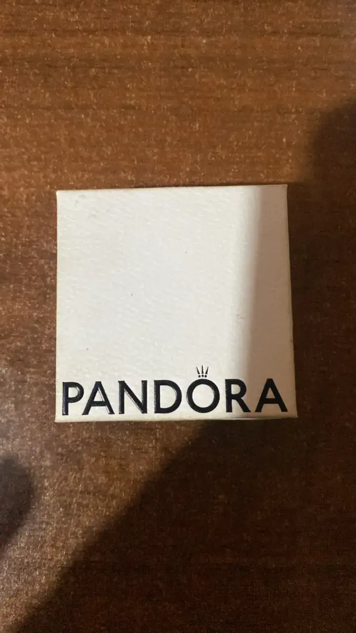 Charm pandora - 1