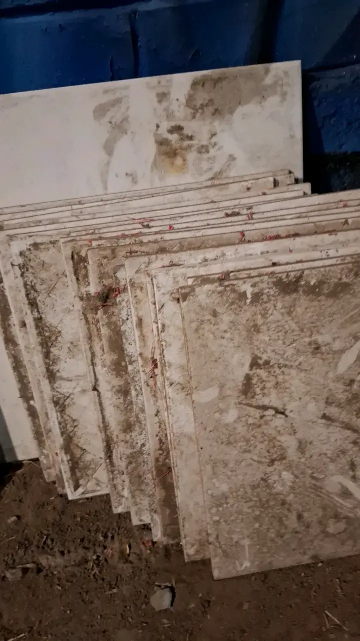 Lote de cerámicas blancas usadas - 2