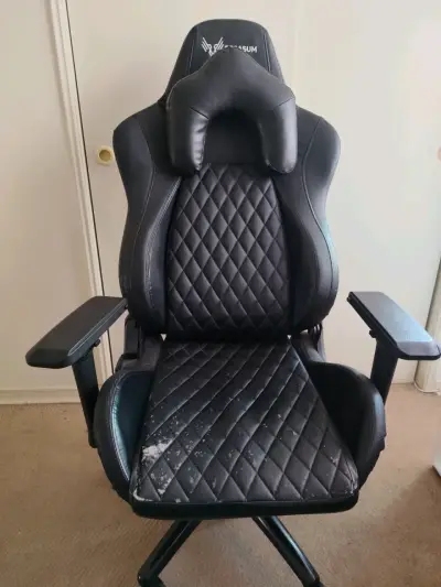 Silla gamer ergonómica Pegasum negra - miniatura 1