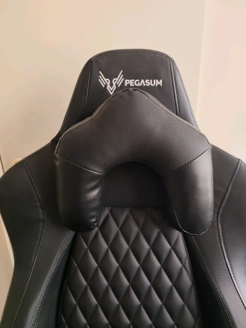 Silla gamer ergonómica Pegasum negra - 2