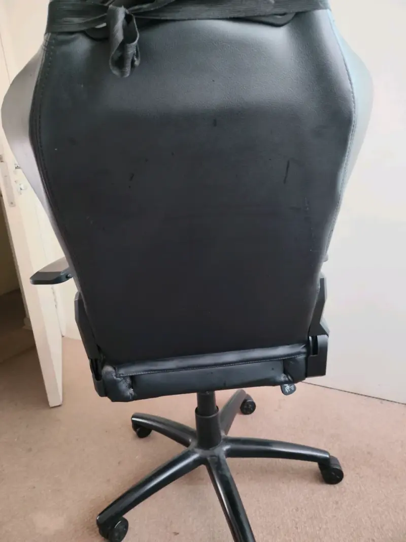Silla gamer ergonómica Pegasum negra - 4