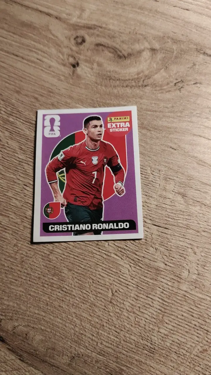 Lámina Panini FIFA Extra Sticker - 1