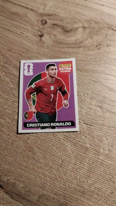 Lámina Panini FIFA Extra Sticker - miniatura 1