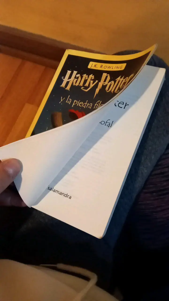 Harry Potter y la Piedra Filosofal (2 disponibles) - 6