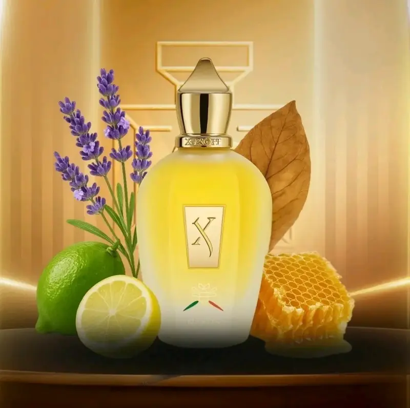 Perfume Xerjoff Naxos Eau De Parfum 100ml de lujo - 5