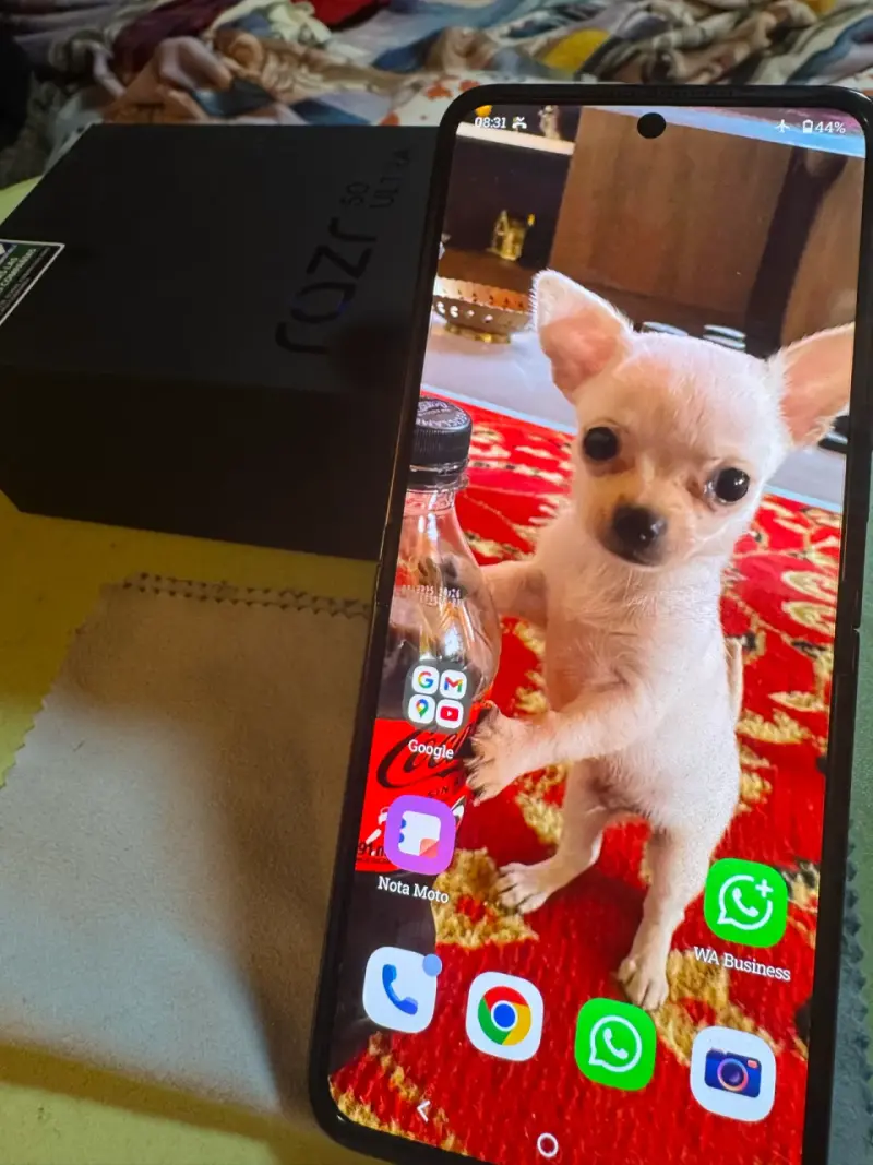 Smartphone plegable Motorola Razr 50 ultra - 4