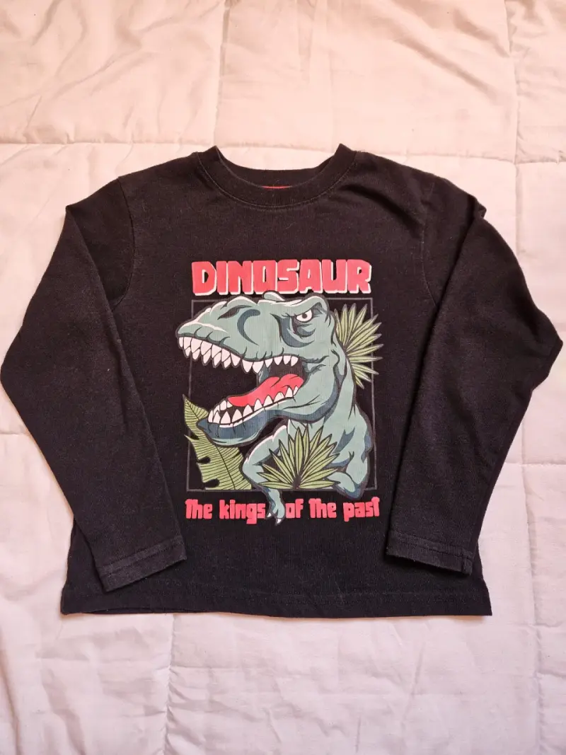 Polera manga larga dinosaurio para niños - 1