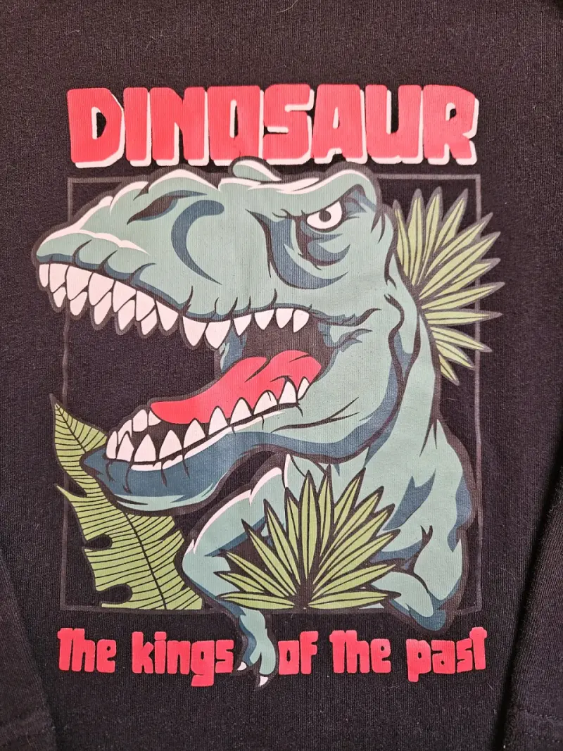 Polera manga larga dinosaurio para niños - 2