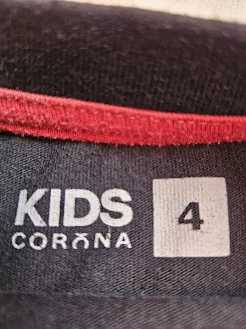 Polera manga larga dinosaurio para niños - 4