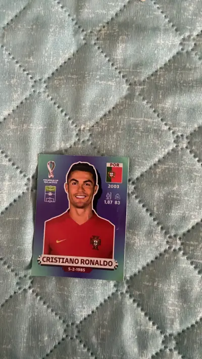 Lámina de colección FIFA World Cup 2022 - miniatura 1
