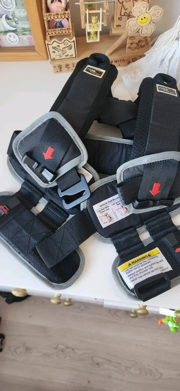 Arnés de seguridad infantil Ride Safer - 4