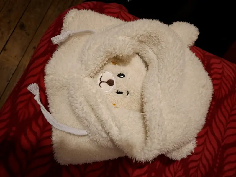 gorro de oso - 1
