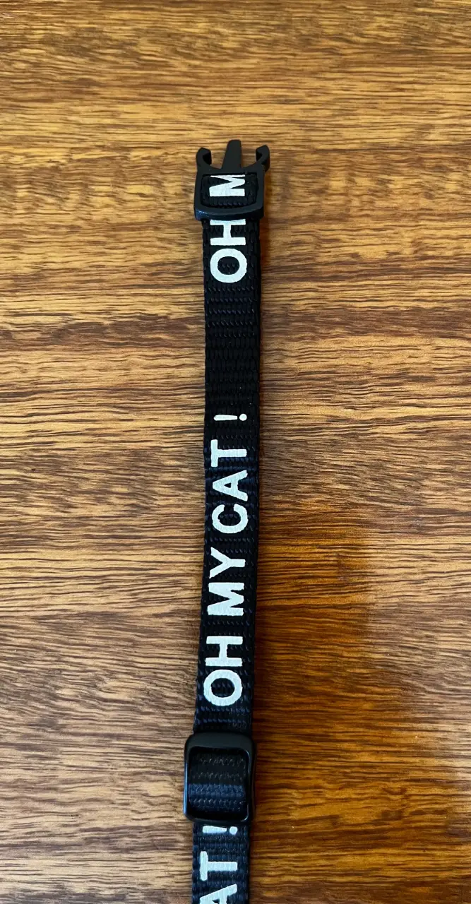 Collar para gato 'Oh My Cat!' ajustable - 5