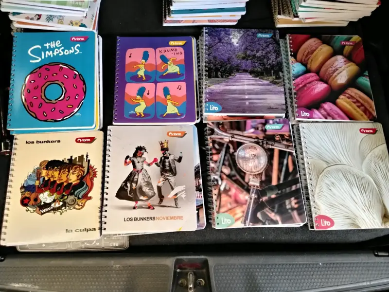 Cuadernos univerditarios - 2