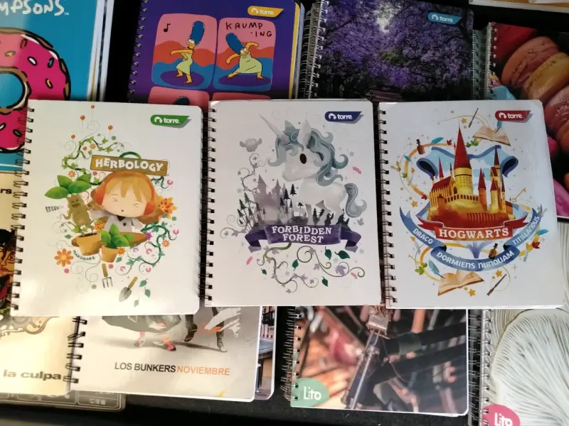 Cuadernos univerditarios - 3