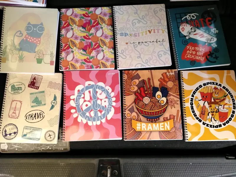Cuadernos univerditarios - 4