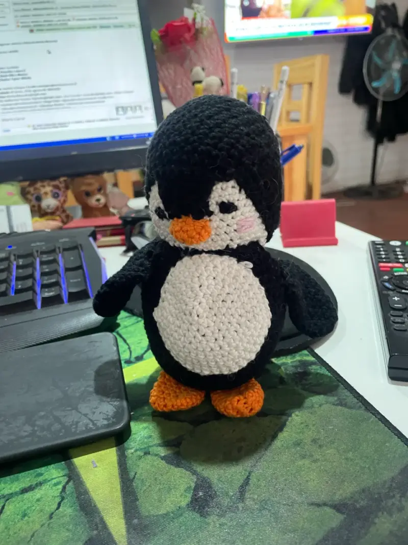 Amigurumis a pedido - 1