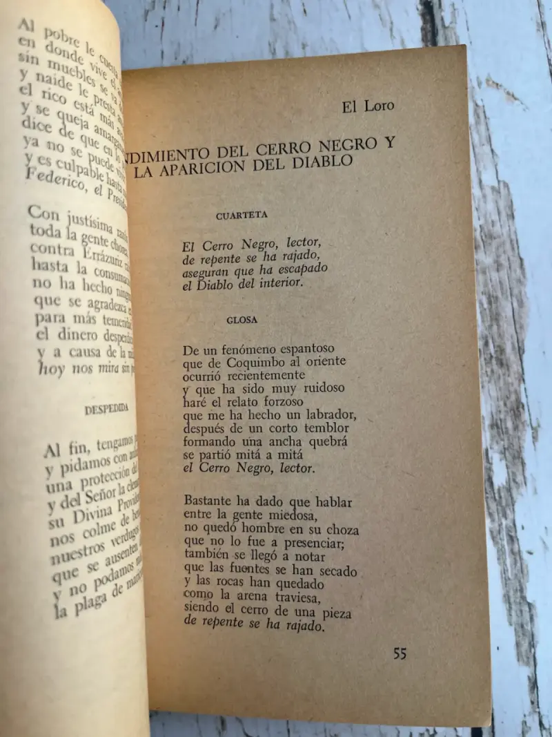 Libro Poesía Popular Chilena de Diego Muñoz - 5