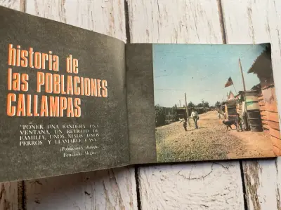 Libro 'Historia de las Poblaciones Callampas' - miniatura 4