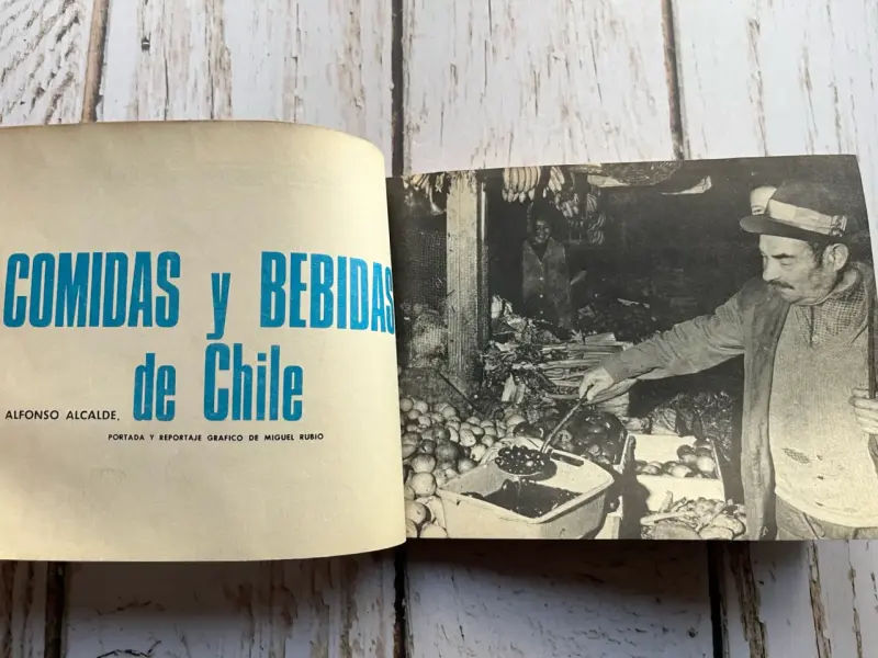 Libro 'Comidas y Bebidas de Chile' Alfonso Alcalde - 4
