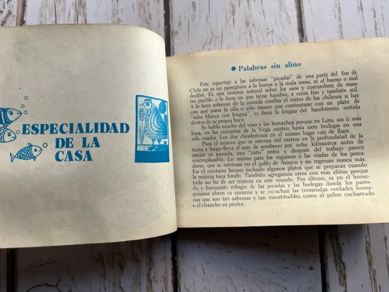 Libro 'Comidas y Bebidas de Chile' Alfonso Alcalde - 5